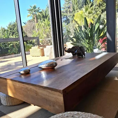 Caribbean فيلة كان